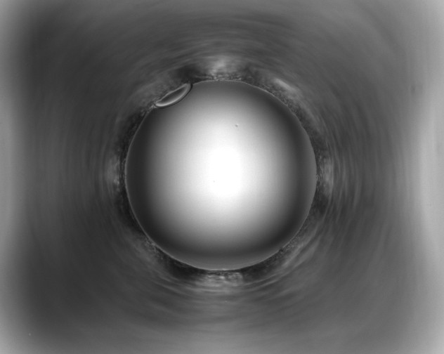 X0000088700571200705311217