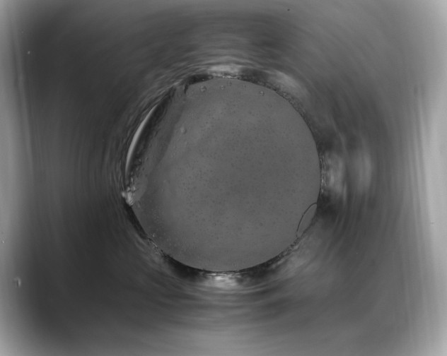 X0000088700573200705311217