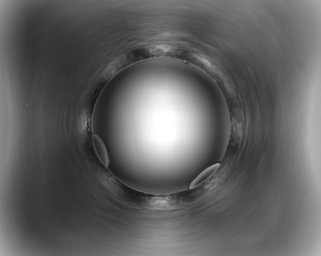 X0000088700574200705311217