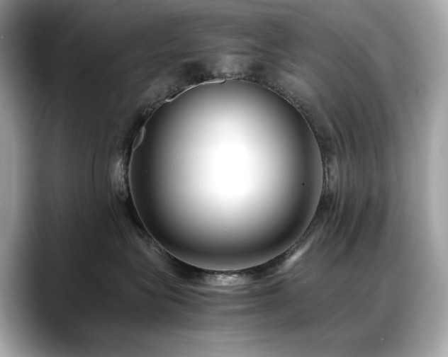 X0000088700575200705311217