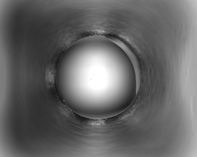 X0000088700576200705311217