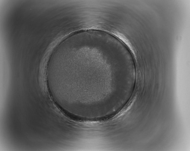 X0000088700577200705311217