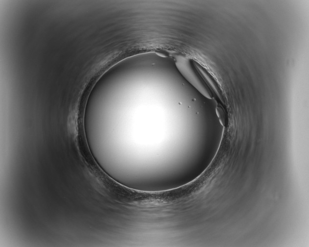 X0000088700578200705311217