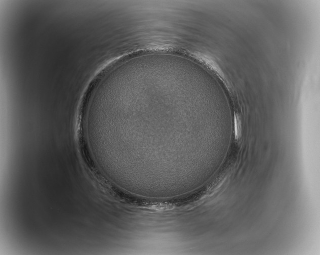 X0000088700579200705311217