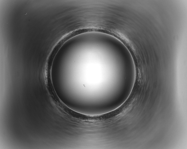 X0000088700580200705311217