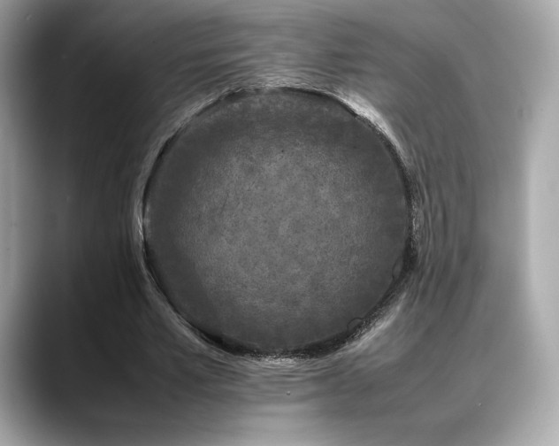 X0000088700581200705311216