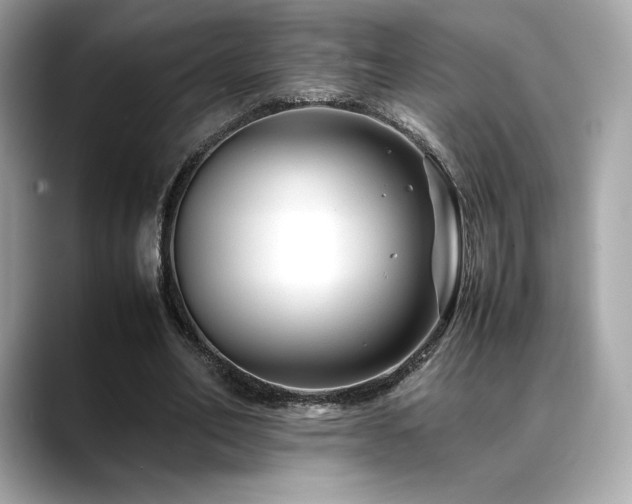 X0000088700582200705311216