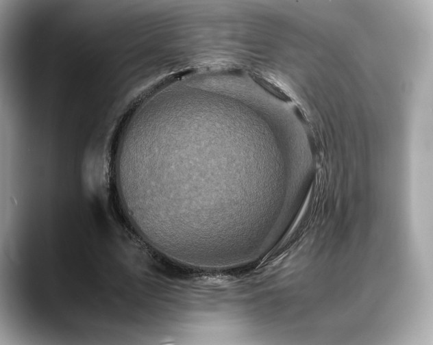 X0000088700583200705311216