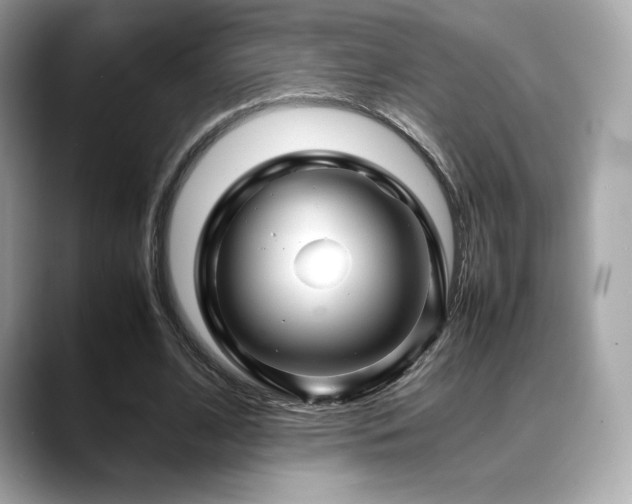 X0000088700584200705311216