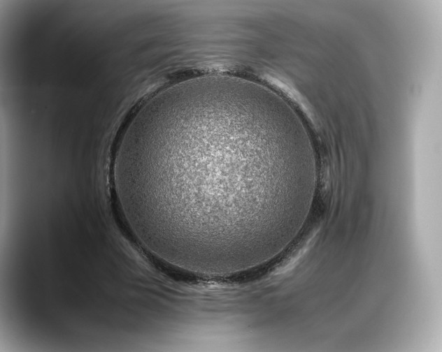 X0000088700585200705311216