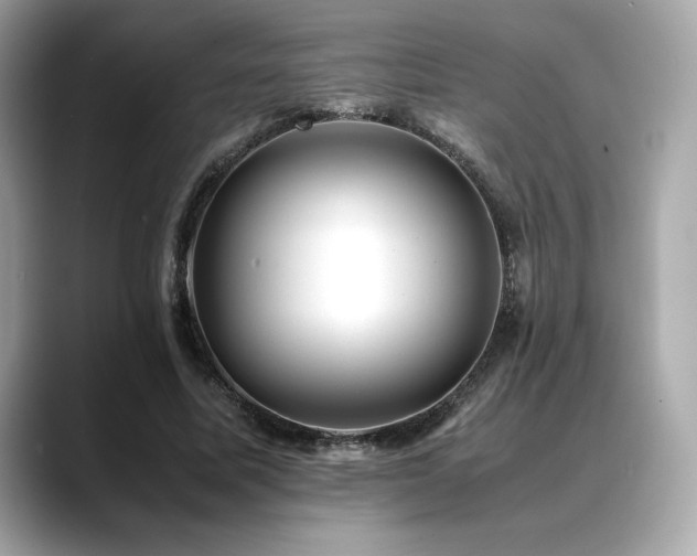 X0000088700587200705311216