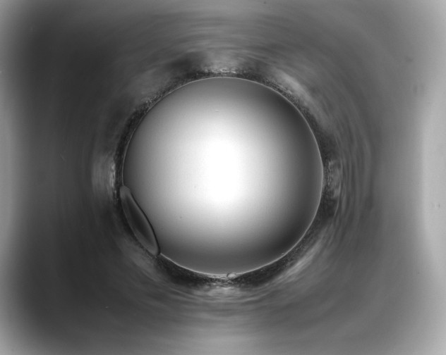 X0000088700589200705311216