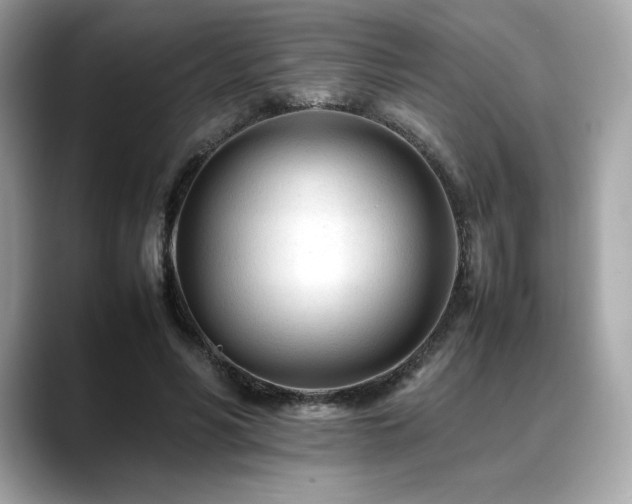 X0000088700590200705311216