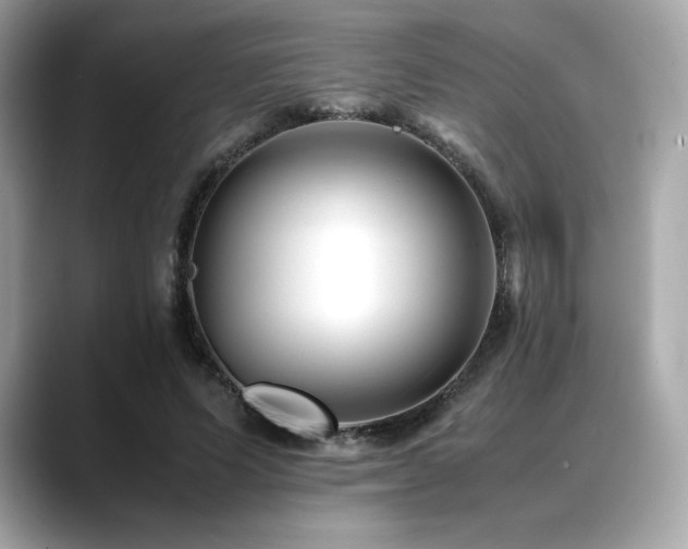 X0000088700591200705311216