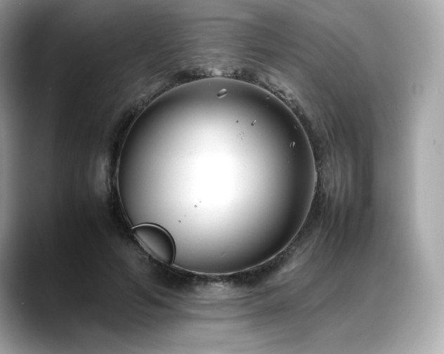 X0000088700594200705311216