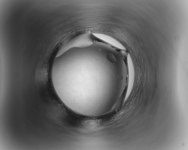 X0000088700595200705311216