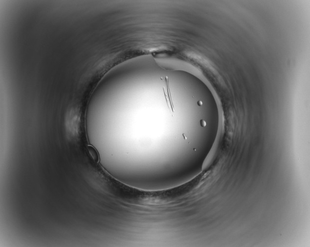 X0000088700596200705311216