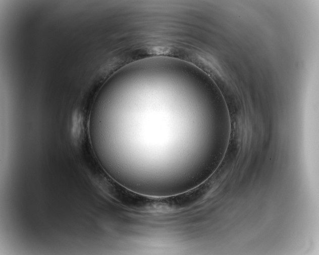 X0000088700598200705311216