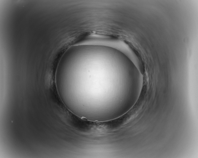 X0000088700599200705311216