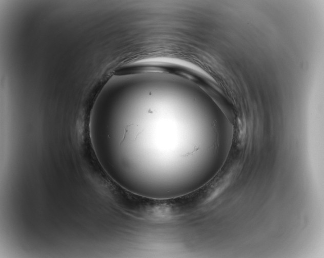 X0000088700600200705311216