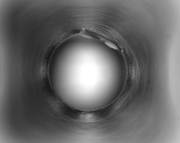 X0000088700602200705311216