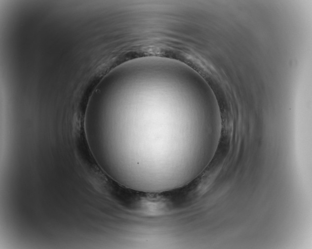 X0000088700603200705311216