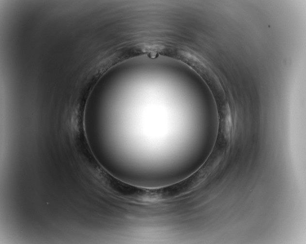 X0000088700604200705311216