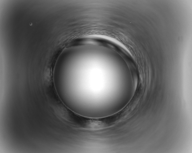 X0000088700605200705311216