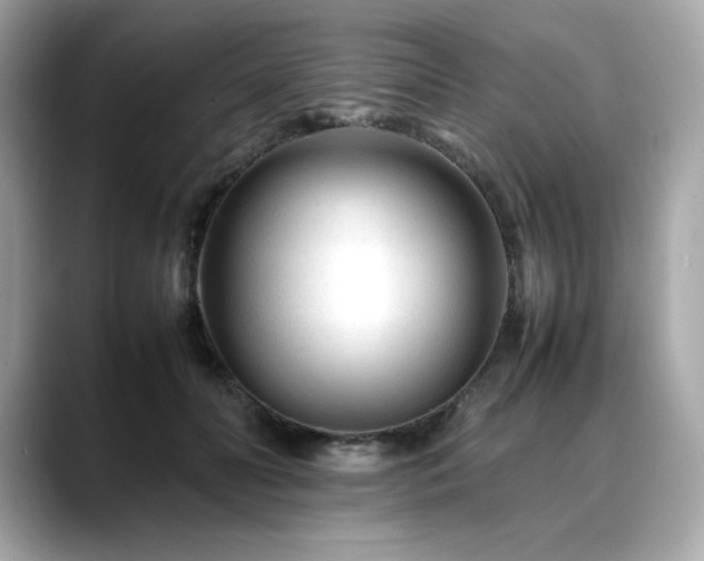 X0000088700606200705311216