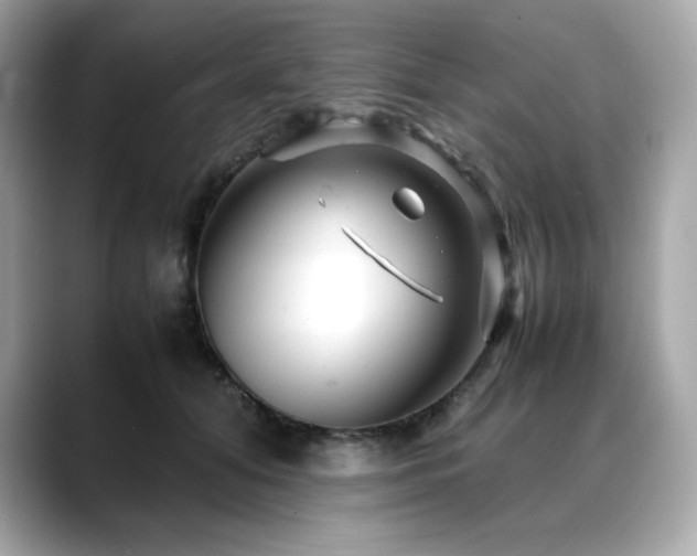 X0000088700608200705311216