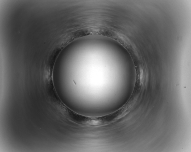 X0000088700610200705311216