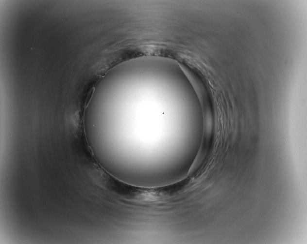 X0000088700611200705311216