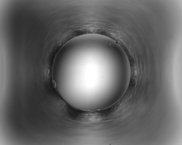 X0000088700615200705311216