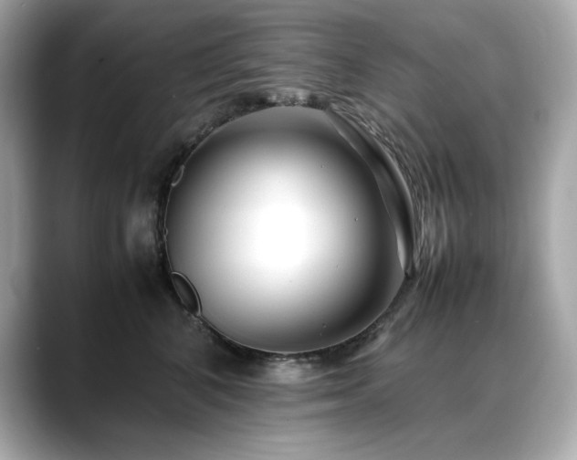 X0000088700616200705311216