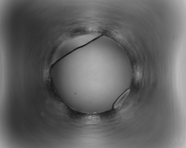 X0000088700619200705311216