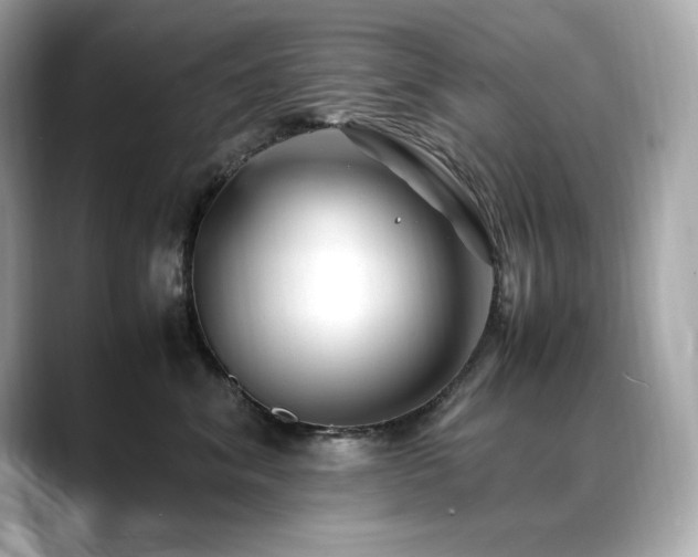 X0000088700620200705311216