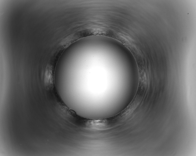 X0000088700622200705311216