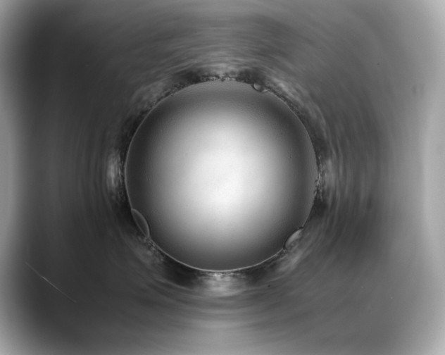 X0000088700623200705311216