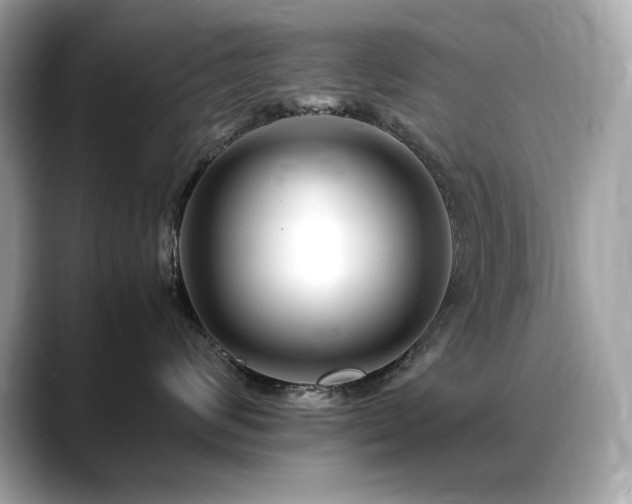 X0000088700624200705311216