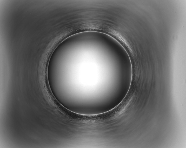 X0000088700625200705311215