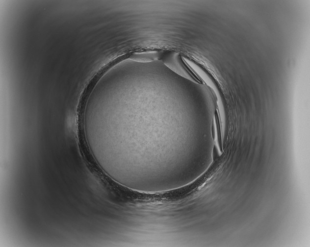 X0000088700626200705311215