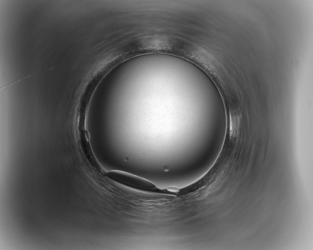 X0000088700627200705311215