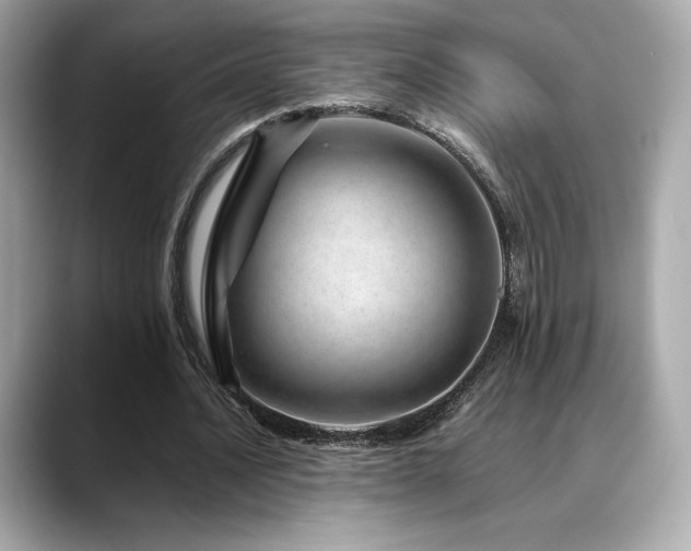 X0000088700628200705311215