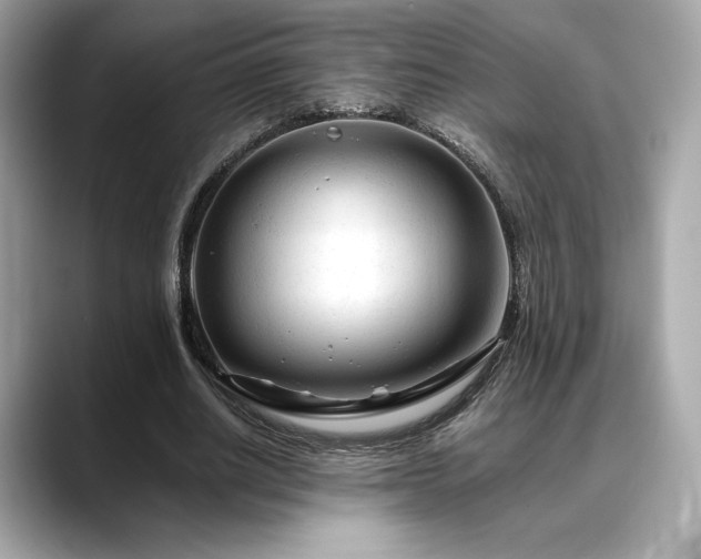 X0000088700630200705311215