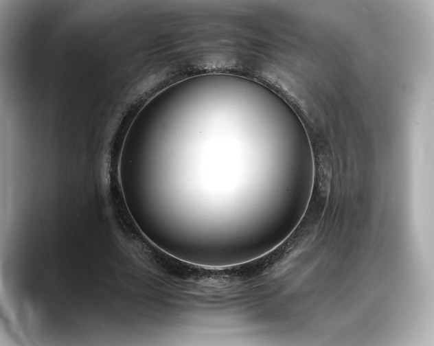 X0000088700631200705311216