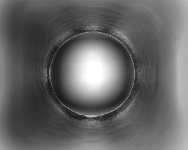 X0000088700633200705311216