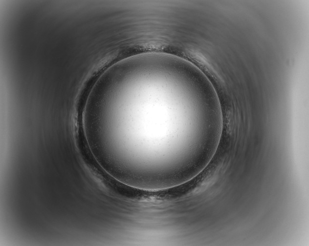 X0000088700634200705311216
