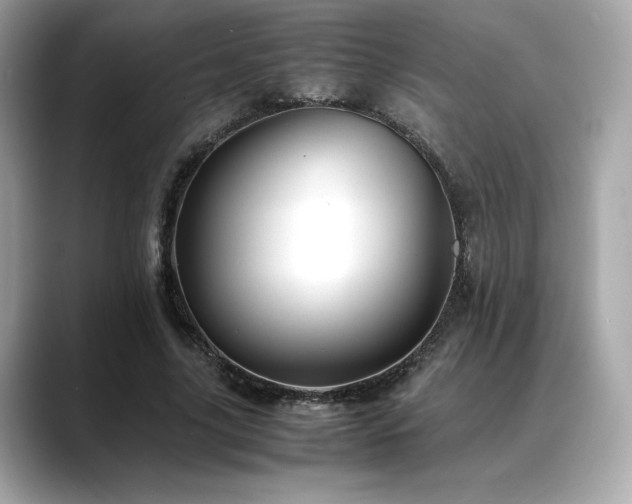 X0000088700635200705311216