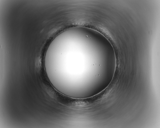 X0000088700636200705311216