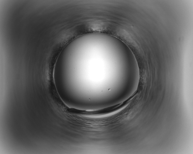 X0000088700639200705311216